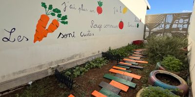 Les petites mains embellissent le potager