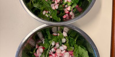 La salade des petits jardiniers