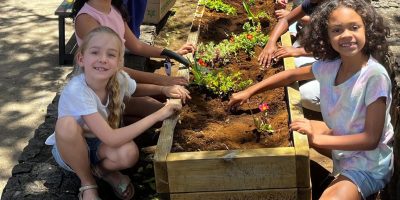 Un embellissement de l’école grâce aux plantations des CE1B