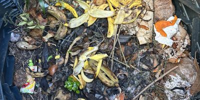 compostage aux Caramboles