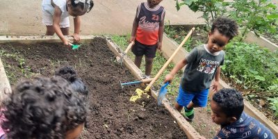 1/ Plantation et embellissement de la cour de l’école :