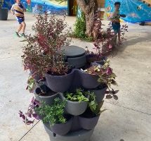 Les lombrics, nos alliés du jardin