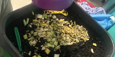 Nourrir nos vers de terre toute l’année