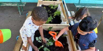 Les jardinières des petits