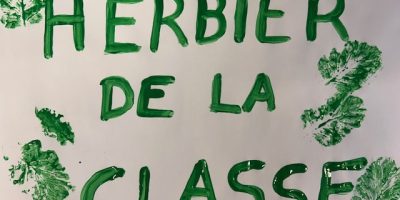 Notre herbier de classe