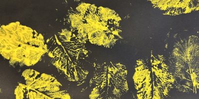Quand la nature devient une oeuvre d’art
