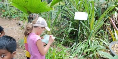 Visite d’un jardin