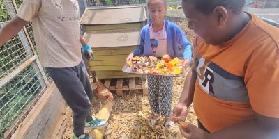 Notre potager et notre poulailler : une aventure pleine de surprises !