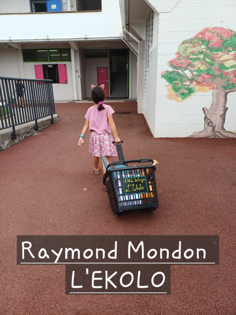 École élémentaire Raymond Mondon - Le Port