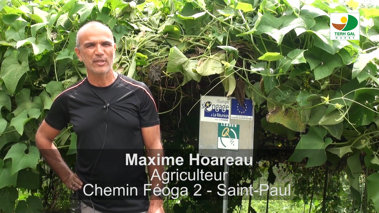Maxime Hoareau, agriculteur à titre secondaire