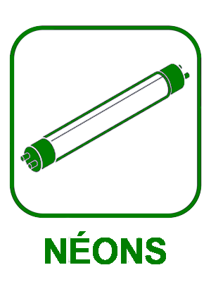 Néons