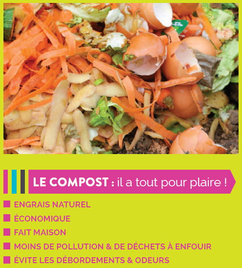 Faut-il enfouir ou étaler son compost ?