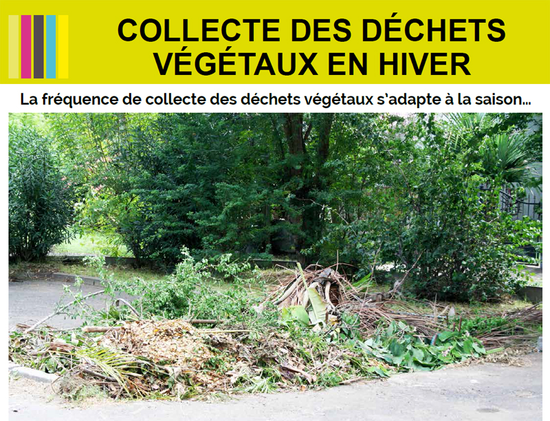 collecte des dechets vegetaux en hiver