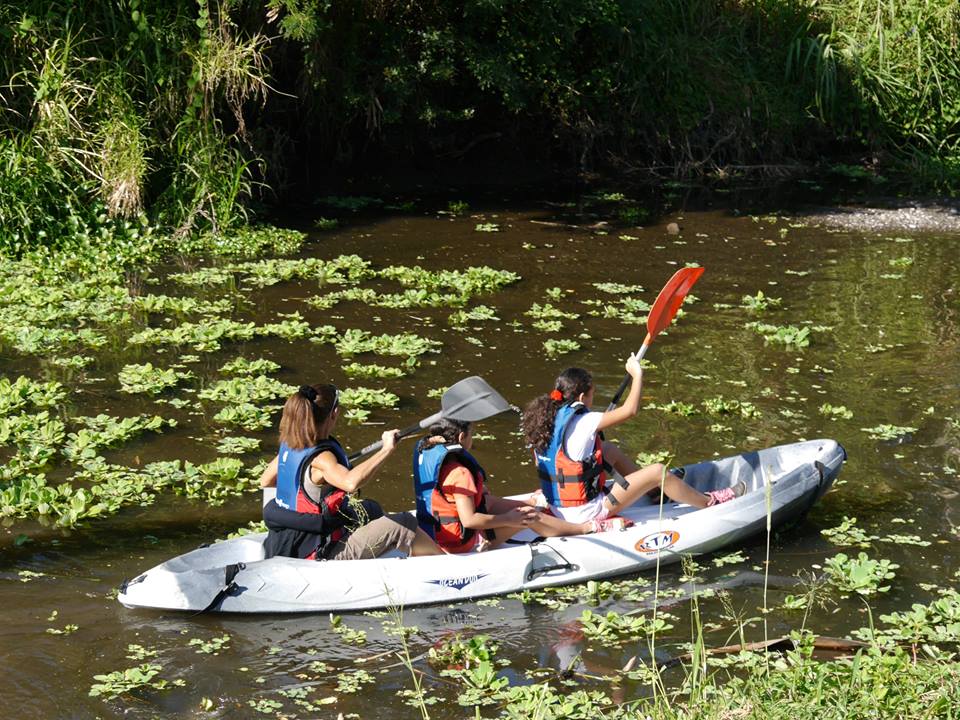 kayak