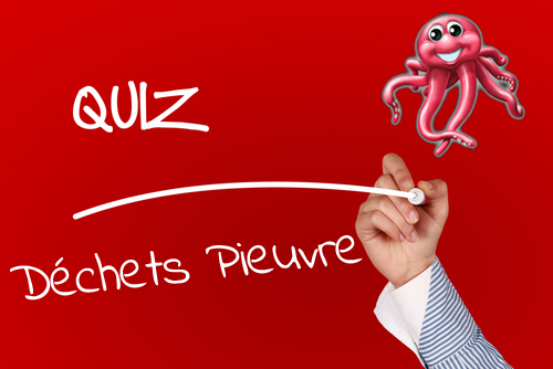 Quiz Déchets Pieuvre