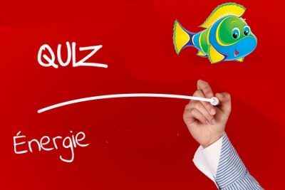 Quiz Énergie Poisson