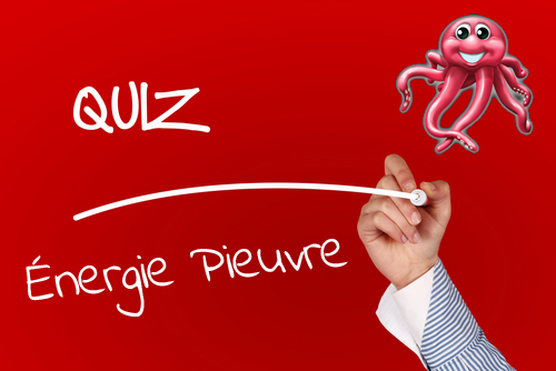 Quiz Énergie Pieuvre