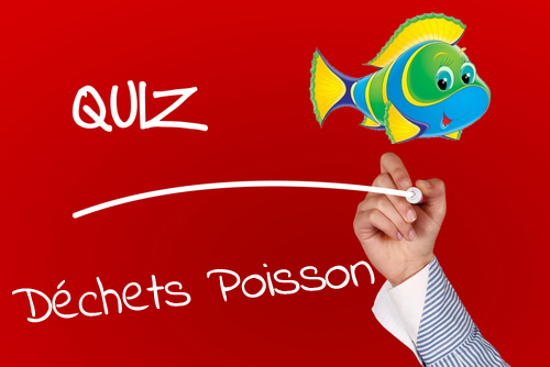 Quiz Déchets Poisson