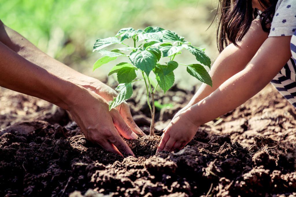 Ateliers compostage et jardinage au naturel