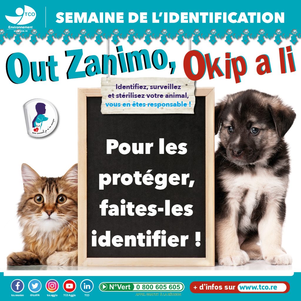 Visuel semaine de l'identification 2023