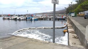 Travaux de dragage du port de Saint-Leu et de curage de la plage éphémère