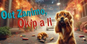 Fêtes de fin d’année : pétards et feux d’artifice, un risque réel pour les chiens