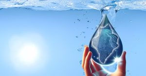 Préservons l&rsquo;eau : venez tester vos connaissances avec le Territoire de l&rsquo;Ouest !