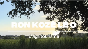 Un Ron Kozé Lé O dédié à l’agritourisme