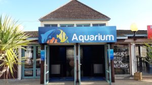Aquarium de Saint-Gilles : Le Territoire de l&rsquo;Ouest engage des travaux